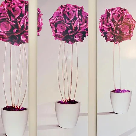 Top Apartments Zadar Zadar